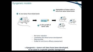 Optimize your syngeneic models with genetically engineered cell lines [upl. by Aschim]