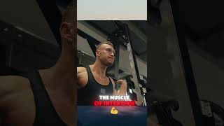 Build Muscle Faster Tom Platzs Stress Technique [upl. by Haman563]