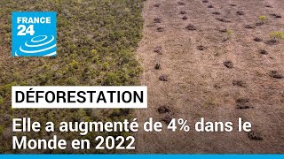 Déforestation Elle a augmenté de 4 dans le Monde en 2022 • FRANCE 24 [upl. by Youngman]