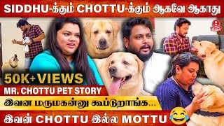 Siddhu ஓட ATM Cardஅ கடிச்சு 😂  MrChottu Interview  Siddhu Vlogs  Pet Story  MrChottu [upl. by Otis91]