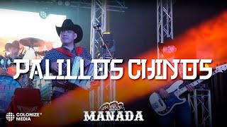 Grupo Manada  Palillos Chinos En Vivo [upl. by Aipotu]