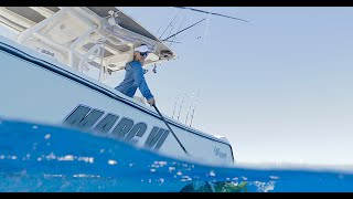 Offshore Mahi Fishing with George Poveromo [upl. by Eda756]