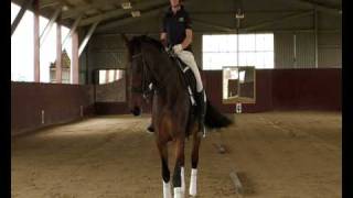 EP 14  The Dressage Movement of ShoulderIn [upl. by Aerdnek487]