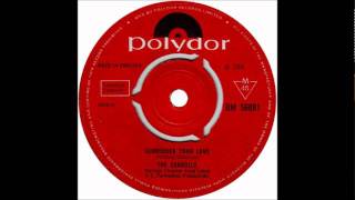 THE CARROLLS  SURRENDER YOUR LOVE1966 45polydor 56081wmv [upl. by Ayahsey]