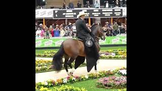 comparacion caballero de rancho luna vs legendario del esmeraldal en la feria de las flores 2024 [upl. by Armin90]