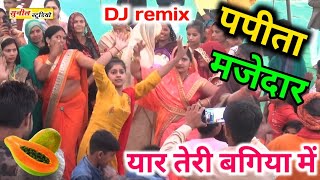 DJ remix पपीता मजेदार यार तेरी बगिया में papita majedar yaar Teri bagiya mein [upl. by Elokyn657]