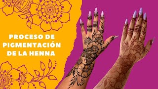 Proceso de pigmentación de la henna natural en la piel  Paso a Paso hennanatural [upl. by Carlotta]