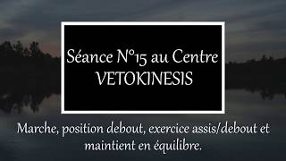 ► Bonny BatCat◄ Séance de rééducation N°15 au Centre VETOKINESIS [upl. by Ecirtahs]