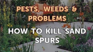 How to Kill Sand Spurs [upl. by Gard]