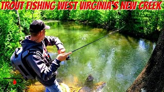 Trout Fishing West Virginias New Creek [upl. by Abie]