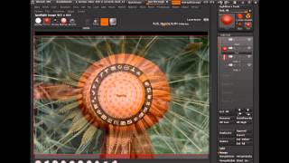 Making A Dandelion Clock In Maya  Part 1  By AQS [upl. by Omik803]