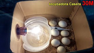 Incubación de huevos de gallina en incubadora casera [upl. by Drabeck]