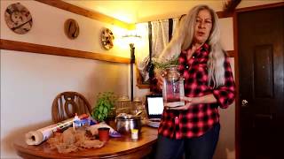 MASON JAR AQUAPONICS A FUN PROJECT FOR KIDS AND ADULTS [upl. by Enak]