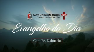 Homilia Diária Evangelho Mt 761214  25 de Junho [upl. by Morly501]