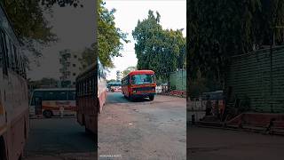 शेगांव ➡️ साकोली बस incrediblemsrtc Nagpur to sakoli msrtc bus msrtcbus lalpari msrtc [upl. by Pillsbury]