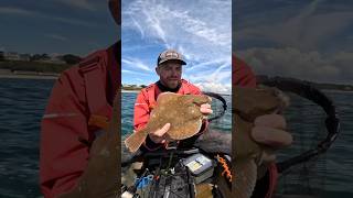 Plaice fishing in Poole ukfishing fishing kayakfishing seafishinguk plaice [upl. by Socrates]