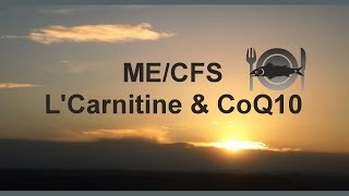 MECFS  CoQ10 amp LCarnitine test results and me being veggie [upl. by Immot]