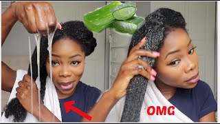 3 WAYS TO USE ALOE VERA FOR MASSIVE HAIR GROWTH  Aloe vera oil Prepoo amp Detangler  UPDATE [upl. by Suoirad]