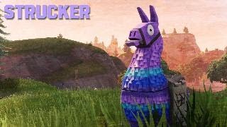 Strucker Fortnite Comp [upl. by Sacks]