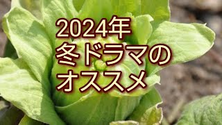 2024年冬ドラマオススメDR−22 [upl. by Gloriane]