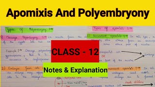 Apomixis and polyembryony class 12 Sexual reproduction in flowering plants  Apomixis and its types [upl. by Llertnauq]