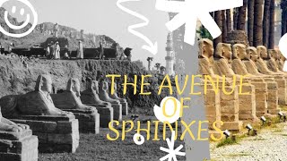 quot Unveiling the Secrets of the Avenue of Sphinxes in Luxor Egypt 🇪🇬quot Egypt AncientEgypt [upl. by Asiram]