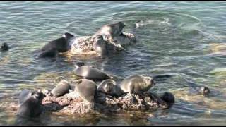 Lake Baikal Siberia Russia [upl. by Cathey]