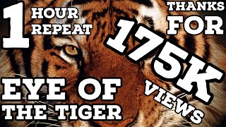 Eye of the Tiger 1 Hour Repeat [upl. by Nivart552]