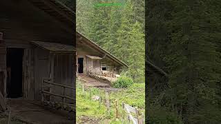 In alp Switzerland tour travel nature gost shorts [upl. by Zales]