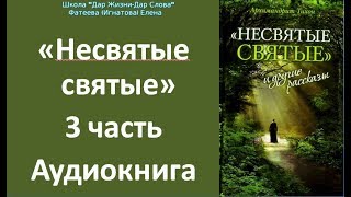 quotНЕСВЯТЫЕ СВЯТЫЕquot 3 аудиокнига Тихон Шевкунов [upl. by Heppman]