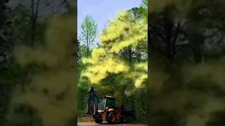 Why Your ALLERGIES Got WORSE tree pollen nature howto [upl. by Eddy]