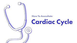 Cardiac Cycle  Learn How to Auscultate Part 2 [upl. by Nellek204]