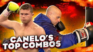 10 Canelo Combos for the Heavy Bag [upl. by Ia]