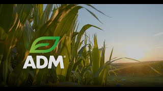 ADM BioSolutions Innovation for a Sustainable Future [upl. by Kironde313]