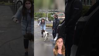 News reporter finds stolen dog while reporting on his dognapping case 🐶 shorts [upl. by Pricilla]