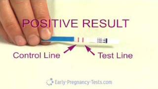 Pregnancy Test Strip [upl. by Ynnad]