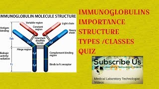 immunoglobulins structuretypes and functions [upl. by Auhsej]