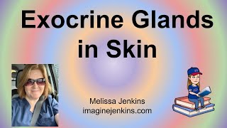 Exocrine Glands in Skin Integument [upl. by Bluh]