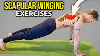 3 Exercises for Scapular Winging Serratus Anterior Muscle Strengthening [upl. by Oderfla]