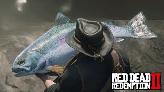 Red Dead Redemption 2  Legendary Steelhead Trout Location amp Catch [upl. by Anul]