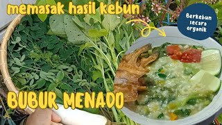 RESEP bubur menadopanenmemasak hasil kebunberkebun organikpanen aneka sayuran gratisberkebun [upl. by Annai]