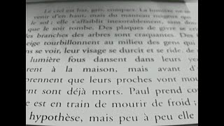 Le ciel est bas gris compact  quotanéantirquot  Michel Houellebecq  chapitre 3  PLab  012022 [upl. by Eugeniusz]