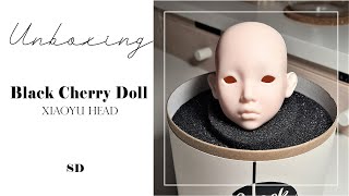 Unboxing Black Cherry Doll head XiaoYu in normal skin [upl. by Benis]