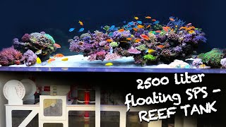 REEF TANK TOURS  exclusive SPS floating REEF  2500 liter HIGH CLASS SETUP [upl. by Ahser]