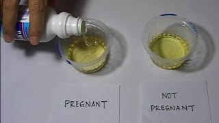 Home Pregnancy Test with Bleach Positive [upl. by Eirret829]