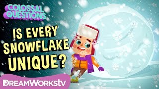 Is Every Snowflake Unique  COLOSSAL QUESTIONS [upl. by Ethelin]