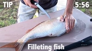 How to Fillet Fish [upl. by Latoya]