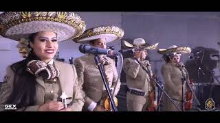 MARIACHI VARGAS DE TECALITLAN POPURRI VERACRUZANO [upl. by Shelba176]