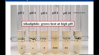 Lab 210 and 211 Osmotic Pressure and pH [upl. by Wootan]