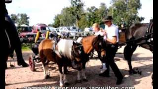 Paardenmarkt in Reusel [upl. by Mehelhteb]